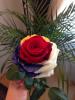 post-119947-0-86068200-1414571530_thumb.