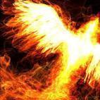 likephoenix