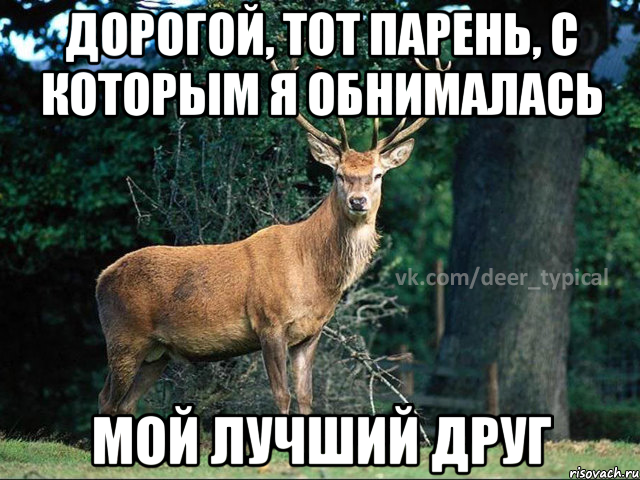 shablon-dlya-pablika-tipichnyy-olen_41771452_orig_.png