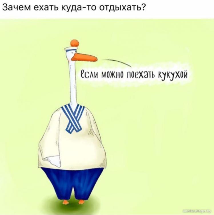 5d6f6ed9b26cea0e7cb190029bb78765.JPG