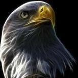 Mr. Eagle