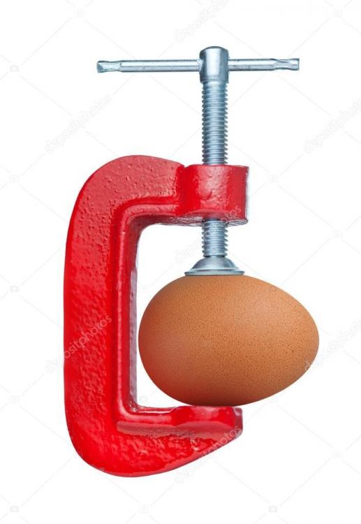 depositphotos_26407675-stock-photo-clamp-compresses-the-egg.thumb.jpg.a6defcb8f3eb8f58699c70d98b58c42c.jpg