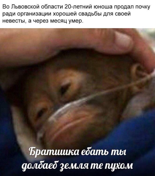 gSqONcpskEY.jpg