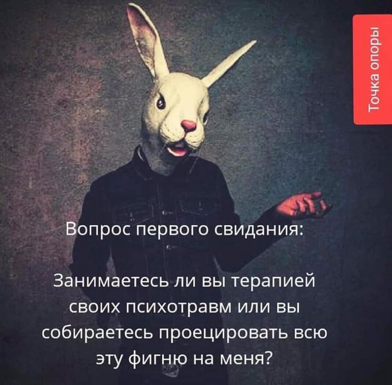 FB_IMG_15513364251913739.jpg
