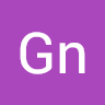 Gn.nikto1