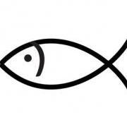 Fisher7