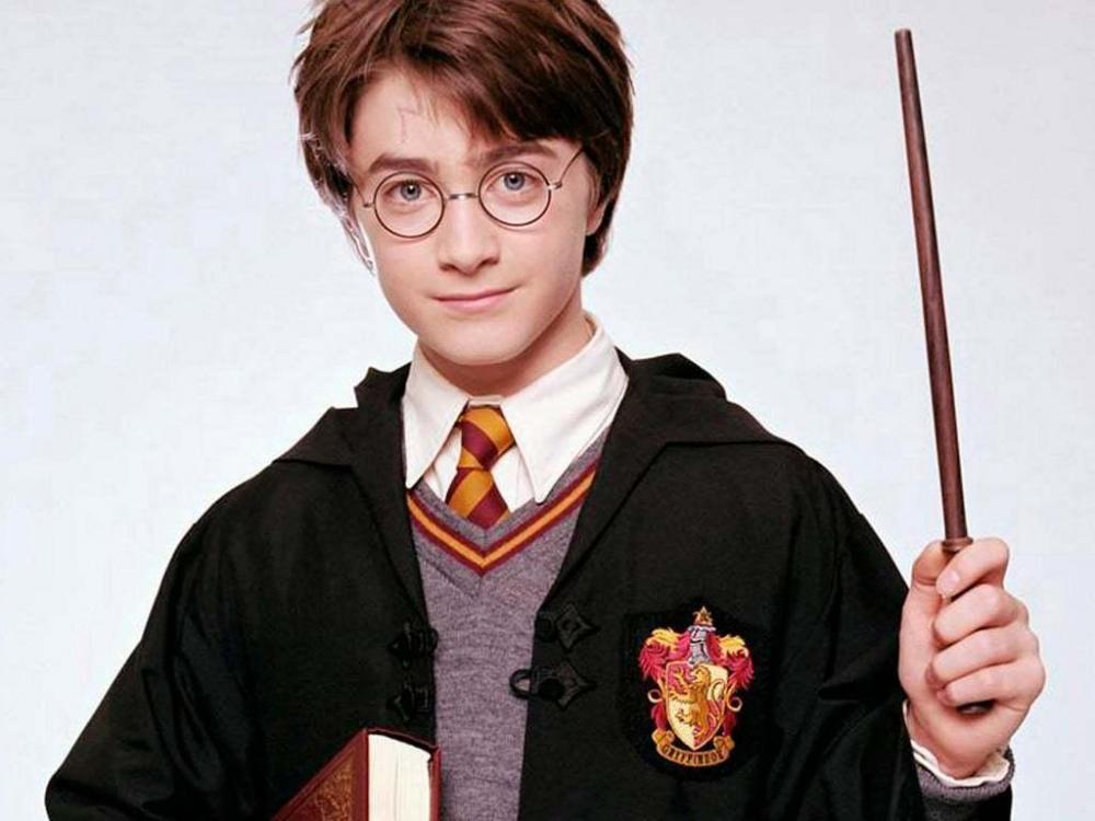 tild3564-3732-4662-a161-626631323835__potter.jpg