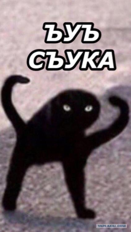 15691269.jpg