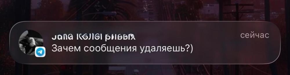 IMG_2494.jpeg