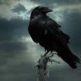 Nightraven